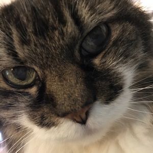 Meet your Posher, Sonia